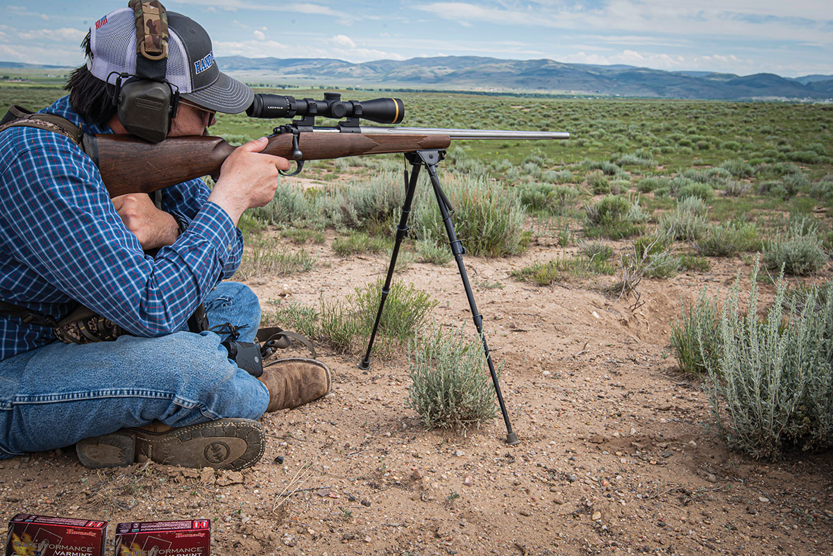 A tactic that worked well while in Wyoming was to park the truck and walk the terrain to get different angles on dog towns; having a bipod or tripod is helpful when using such tactics.